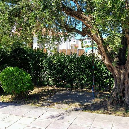 V-Apartments Τσουκαλαίικα Εξωτερικό φωτογραφία