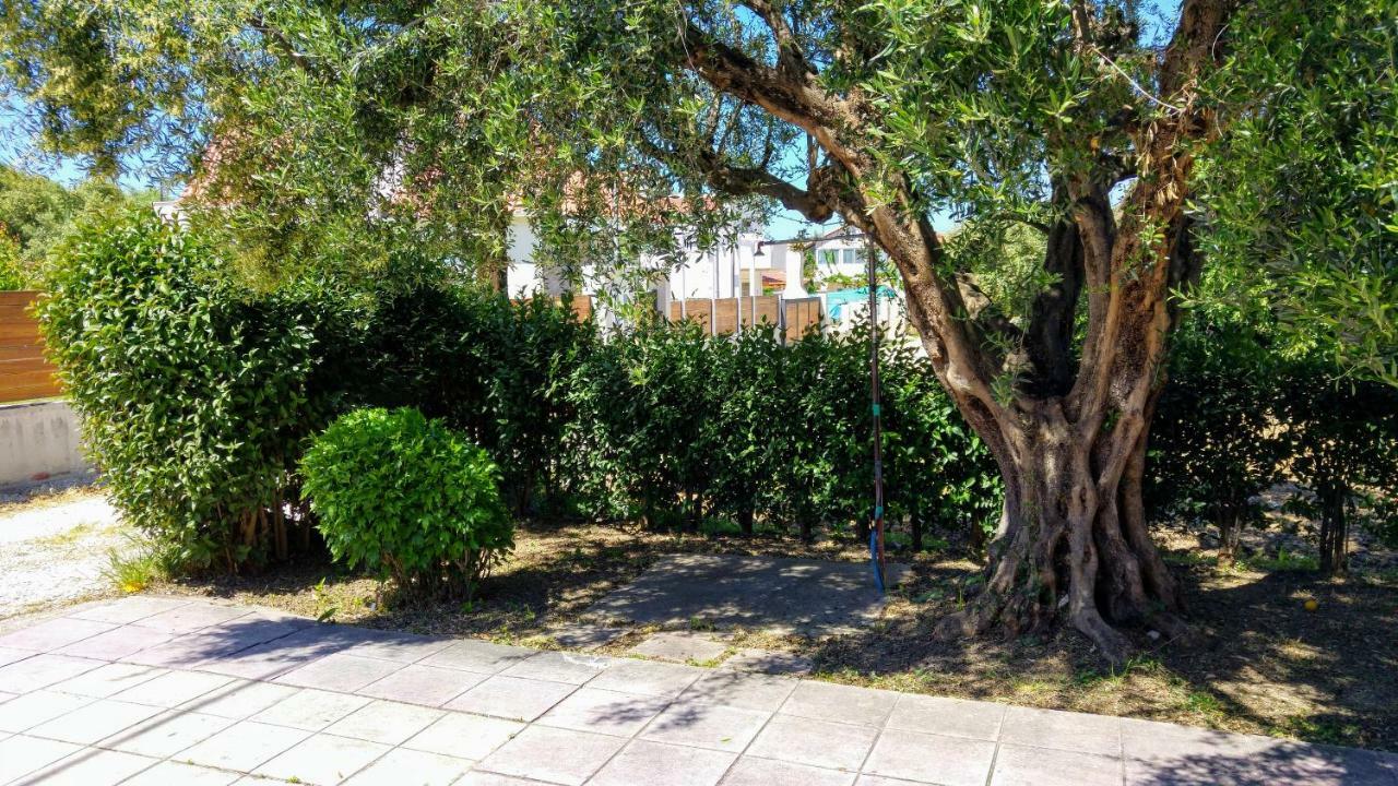 V-Apartments Τσουκαλαίικα Εξωτερικό φωτογραφία